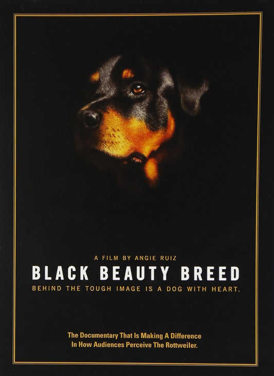 Black Beauty Breed